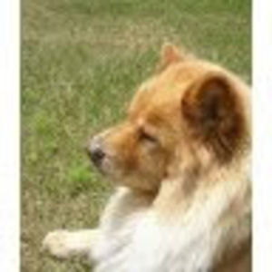 Meet your Posher, Jessie